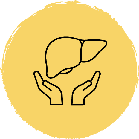 Surgical transplant support